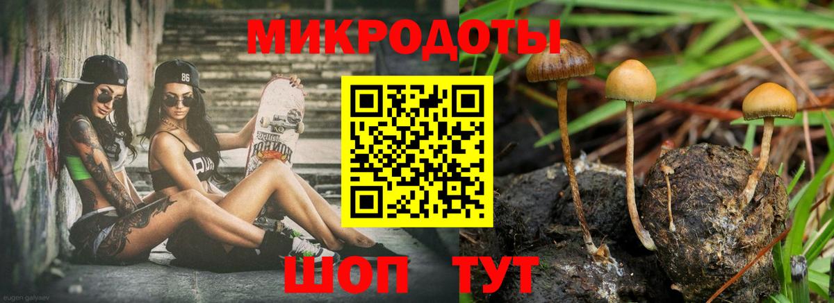 Ухта  Галлюциногенные грибы мухоморы  Вход с VPN 
